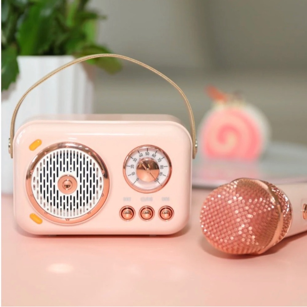 New In The Box On-the-Go Mini Karaoke Machine multitasky